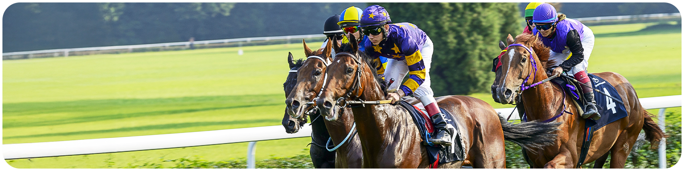 Horse racing