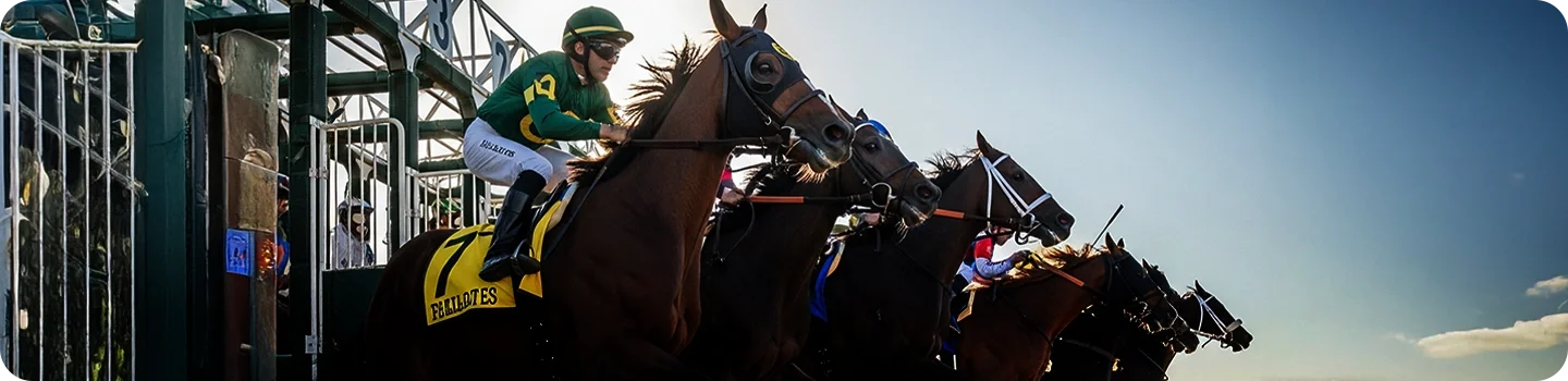 abs-melbourne-cup-barrier-draw