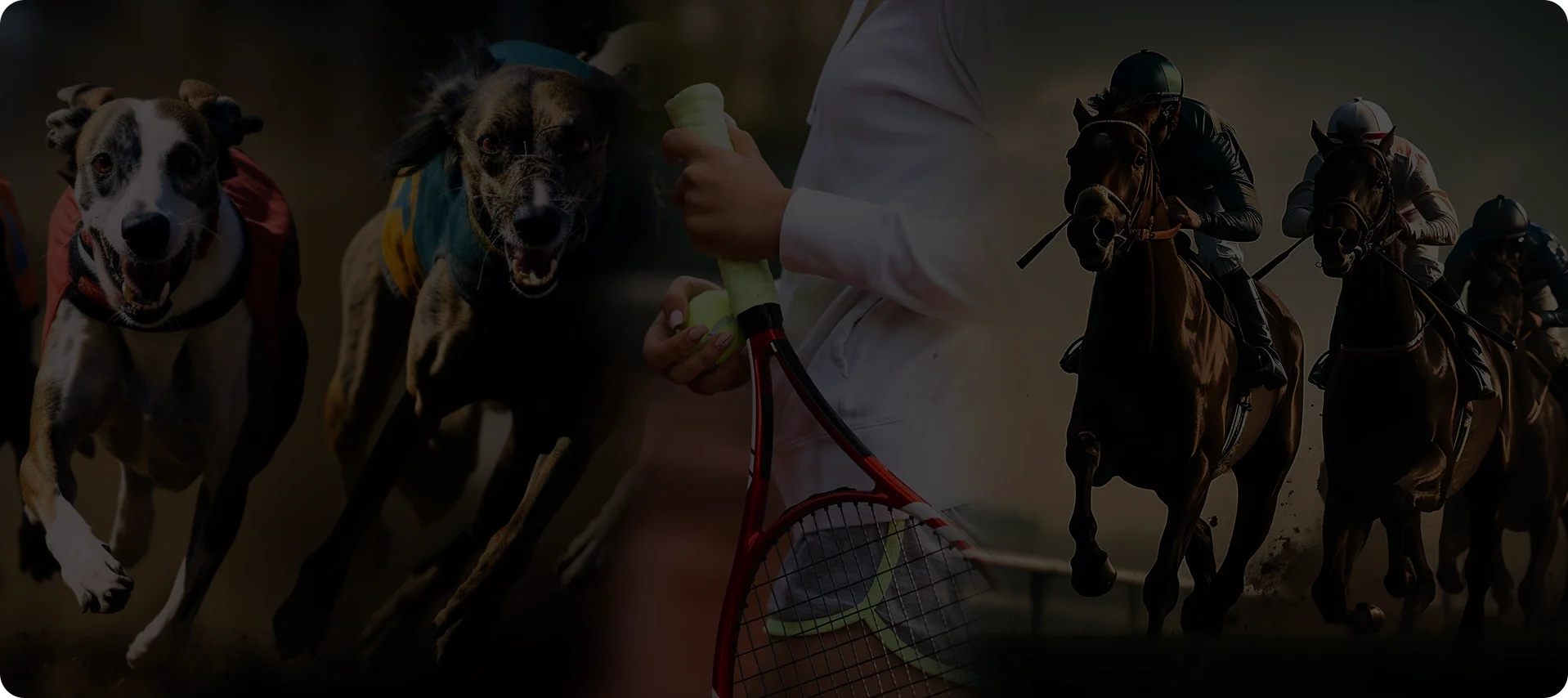 About AustralianBettingSites About AustralianBettingSites