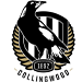 Collingwood Magpies Collingwood Magpies