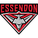 AFL Essendon Bombers